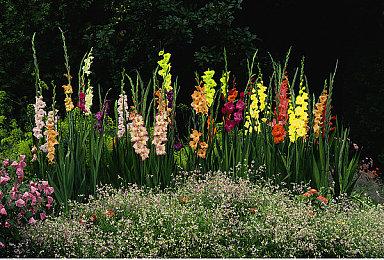 光剑对决！《星球大战绝地武士2》VR自制版演示视频